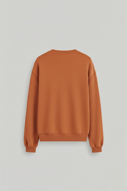 Men's Coral Sweatshirt  300 GSM Bio-Washed, Super Combed Cotton Poly